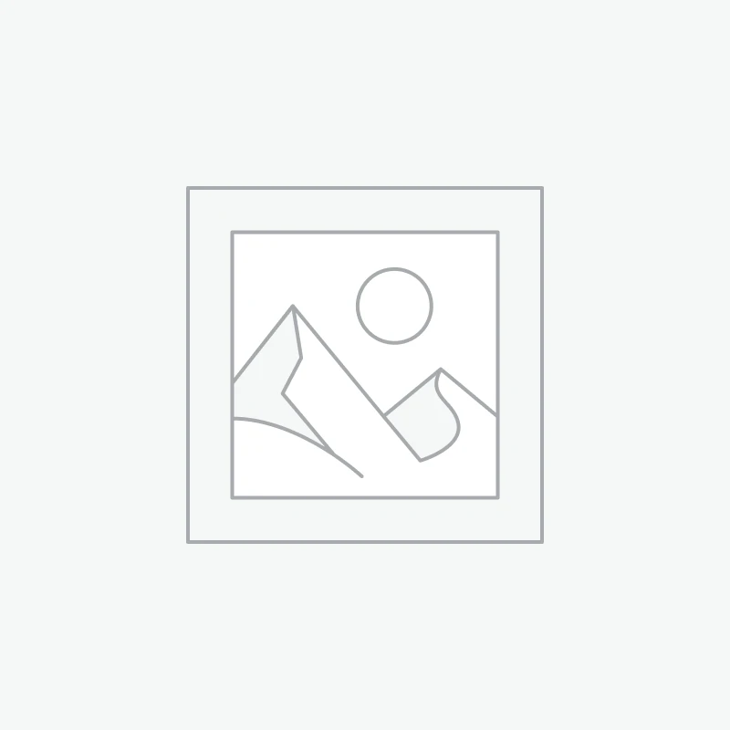 Máy tính nhúng Orange Pi Zero 3 - CPU Allwinner  H618