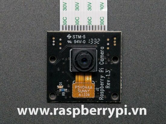 Camera hồng ngoại Raspberry Pi V1 NoIR - Ảnh 2