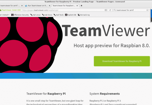 raspberry pi teamviewer or teamveir host