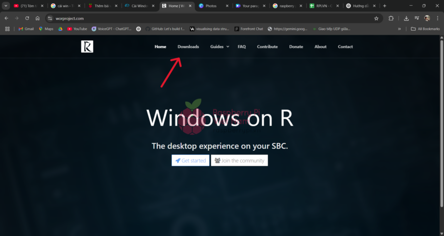 Raspberry Pi Việt Nam