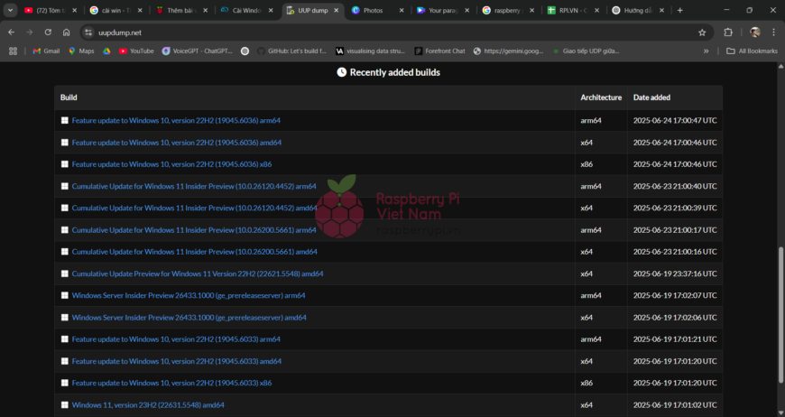 Raspberry Pi Việt Nam