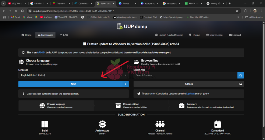 Raspberry Pi Việt Nam