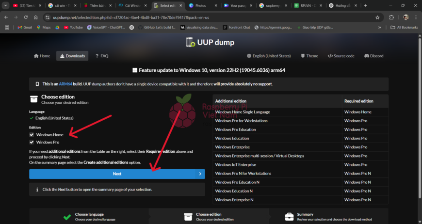 Raspberry Pi Việt Nam