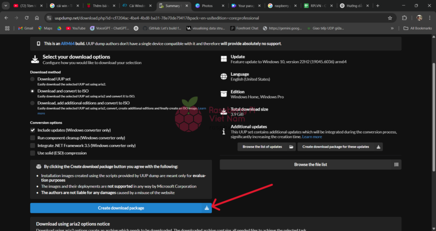 Raspberry Pi Việt Nam